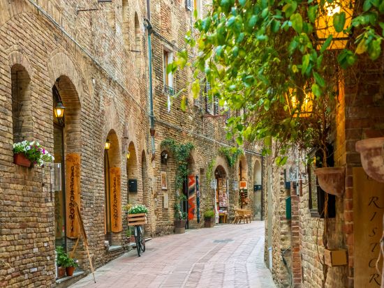 トスカーナ地方 1日観光ツアー　世界遺産シエナ歴史地区＆サン・ジミニャーノ歴史地区＆ワイナリー訪問 ＜貸切／現地語ドライバー＞