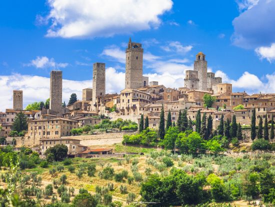 トスカーナ地方 1日観光ツアー　世界遺産シエナ歴史地区＆サン・ジミニャーノ歴史地区＆ワイナリー訪問 ＜貸切／現地語ドライバー＞