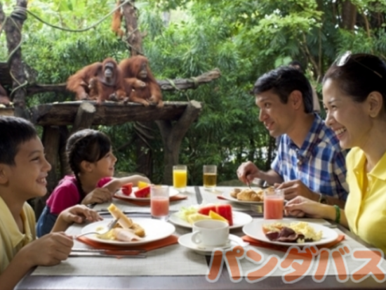 シンガポール動物園 入場チケット 　アニマルショー＋トラム乗車＋動物たちとの朝食付き＜朝食／日本語ガイド＞