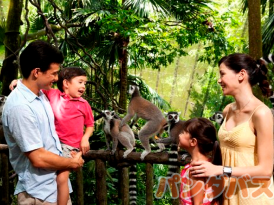 シンガポール動物園 入場チケット 　アニマルショー＋トラム乗車＋動物たちとの朝食付き＜朝食・片道送迎付き／日本語ガイド＞