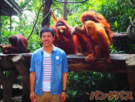 シンガポール動物園 入場チケット 　アニマルショー＋トラム乗車＋動物たちとの朝食付き＜朝食・片道送迎付き／日本語ガイド＞