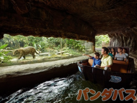 シンガポール動物園＆リバーワンダー 入場チケット 2つのパーク巡り　アニマルショー＋トラム乗車＋動物たちとの朝食付き＜朝食／午前／日本語ガイド＞ 