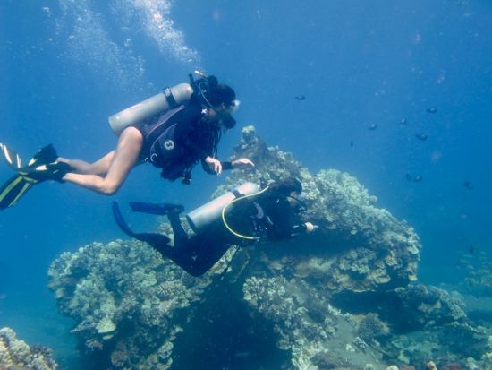 ファンダイビング　ヒロのウミガメ＆サンゴ礁ポイントへご案内！リフレッシュコースあり＜ボート／1ダイブ＞by Hilo Ocean Adventures