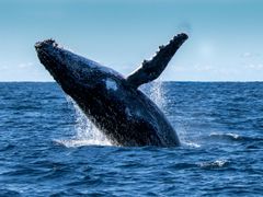 shutterstock_365791514