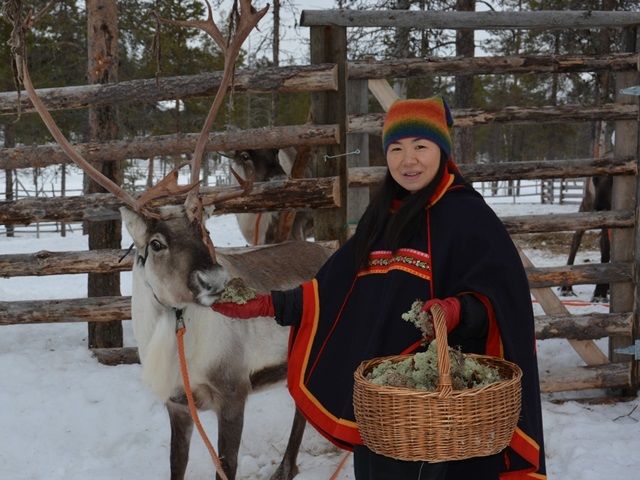 トナカイぞり＆餌やり体験付き！トナカイファーム訪問ツアー＜12～3月