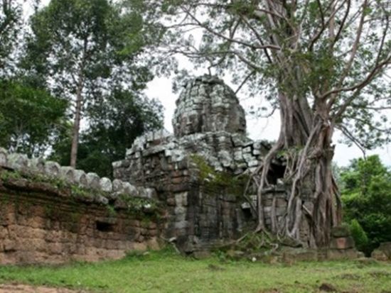 アンコール・ワット＆タ・プローム観光ツアー　5ッ星ホテルの豪華ハイティー付き ＜貸切／日本語ガイド／1日／昼食付き＞