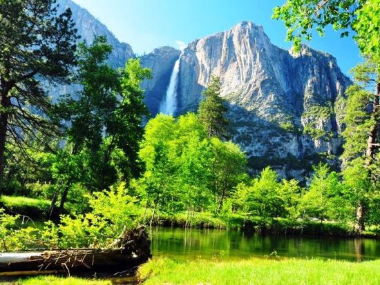 4大国立公園をめぐる2泊3日ツアー　世界遺産ヨセミテ国立公園＆セコイア＆キングズ・キャニオン＆デスバレー ＜日本語ドライバーガイド＞