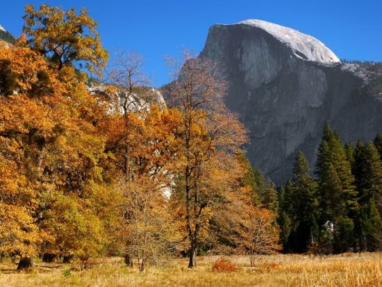 4大国立公園をめぐる2泊3日ツアー　世界遺産ヨセミテ国立公園＆セコイア＆キングズ・キャニオン＆デスバレー ＜日本語ドライバーガイド＞
