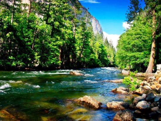 4大国立公園をめぐる2泊3日ツアー　世界遺産ヨセミテ国立公園＆セコイア＆キングズ・キャニオン＆デスバレー ＜日本語ドライバーガイド＞