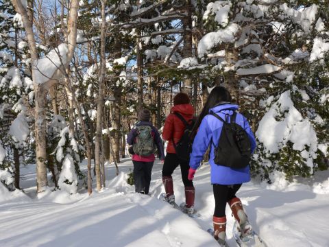 知床五湖スノーシュー  認定ガイドとだけ行ける！湖面の上を歩く冬限定コース 真っ白な知床連山に感動＜4.5時間／1～3月／ウトロ地区送迎付／斜里町＞