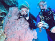 scuba diving with guide great barrier reef