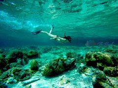 Thailand Phi Phi Islands underwater snorkeling