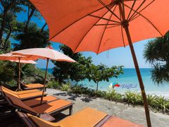 Phi Phi Tour Cots near the beach