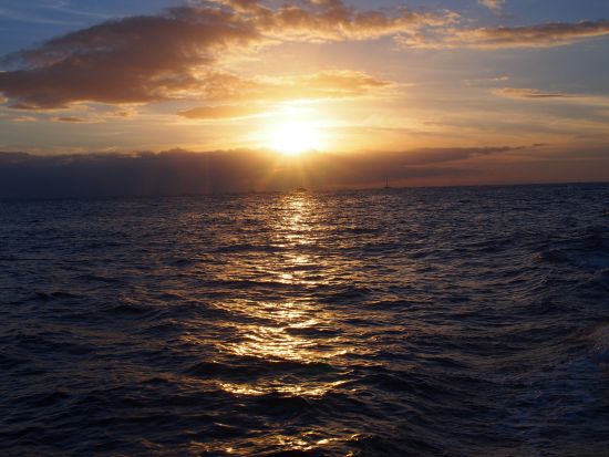 ナ・パリ・コースト　サンセットディナークルーズ 運がよければイルカに会えるかも！＜夕食・飲み放題付き／英語ガイド／エレエレ地区＞