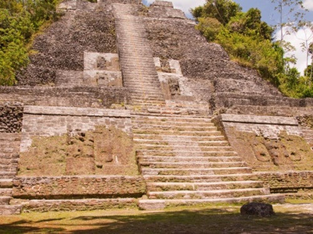 密林に眠るラマナイ遺跡観光ツアー リバークルーズ付 日本語または英語ガイド ベリーズシティ発 ベリーズの観光 オプショナルツアー専門 Veltra ベルトラ