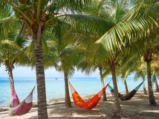 【完全貸切】体験ダイビング コスメル島チャンカナブ国立公園 海底のキリスト像と遭遇！＜1日／ビーチ or ボート／1ダイブ／プラヤデルカルメン発＞