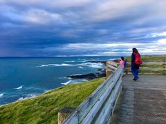 Phillip Island The Nobbies scenery