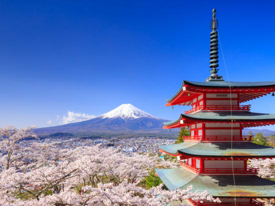 Mt. Fuji and Hakone Panoramic Tour from Tokyo, Tokyo tours & activities ...