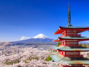 Mt. Fuji pagoda