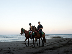 Bali horseriding