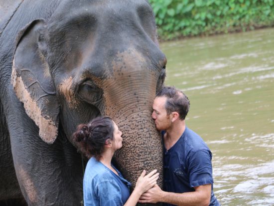 【チェンマイ発】象使い体験1泊2日ツアー＜食事＆宿泊付／送迎付＞