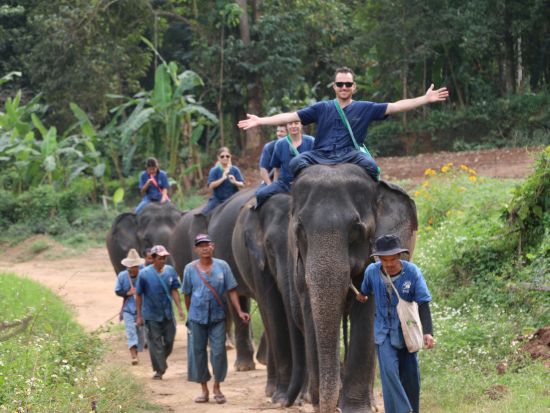 【チェンマイ発】象使い体験1泊2日ツアー＜食事＆宿泊付／送迎付＞