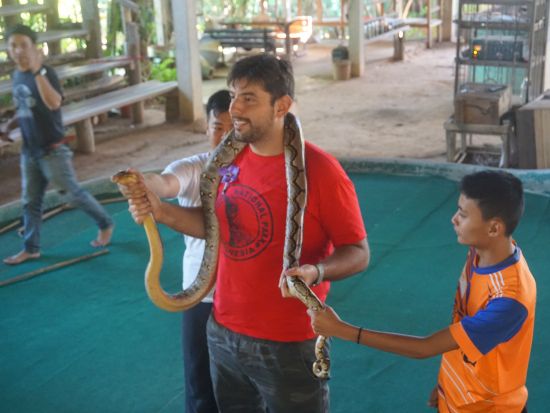 【チェンマイ発】タイガーキングダム＆スネークファーム＜貸切／昼食付／送迎付＞