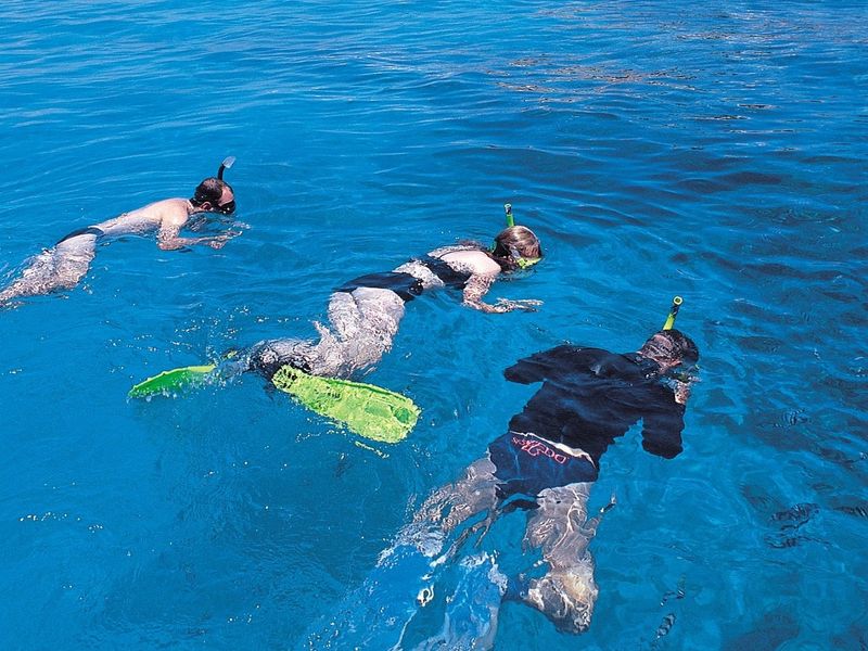 シュノーケリング