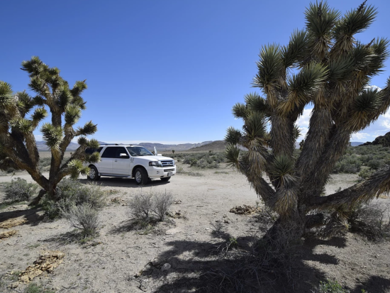 UFOゆかりの地で宇宙の謎に迫る「エリア51」ミステリー・ツアー＜月水土限定／貸切プランあり／英語ガイド＞