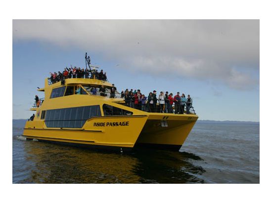 グリズリーベア観察　クルージングツアー ＜5～7月／昼食付き／英語ガイド／プリンス・ルパート発＞