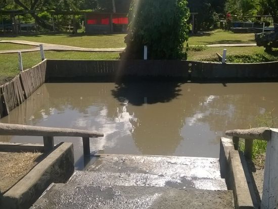 フィジー泥温泉ツアー　天然の泥温泉でリフレッシュする半日ツアー ＜送迎付き＞