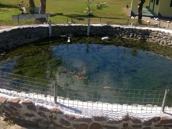 フィジー泥温泉ツアー　天然の泥温泉でリフレッシュする半日ツアー ＜送迎付き＞