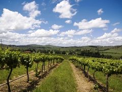 huntervalley2