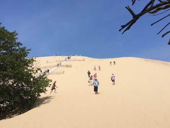 ピラ砂丘とアルカッション散策　ボルドー・グラーヴ地区のシャトー訪問あり＜試飲付／日本語ドライバー／ボルドー発着＞