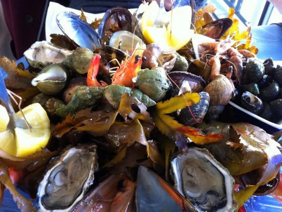 ピラ砂丘とアルカッション散策　ボルドー・グラーヴ地区のシャトー訪問あり＜試飲付／日本語ドライバー／ボルドー発着＞