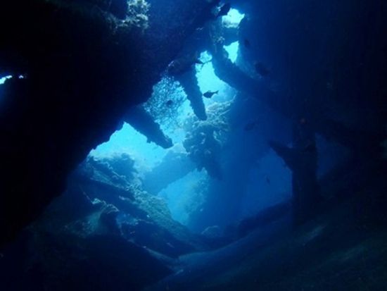 体験ダイビング 沈船と魚の宝庫トランベンまたは手軽に楽しめるサヌールへ プール講習付きで安心＜ビーチ or ボート／1～2ダイブ＞by ブルーシーズン・バリ