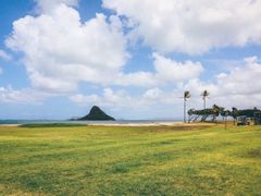 Island and You_05_Chinaman's Hat and green field