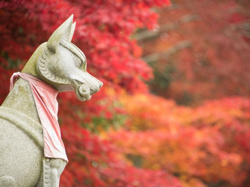 20161125053039_35777654_12123_9