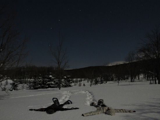 知床ナイトスノーシューツアー 静まり返った夜の森と無数の星々…幻想世界で雪灯りハイキング＜90分／1～3月／ウトロ地区送迎付／斜里町＞by知床ネイチャーオフィス