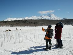 sno-w-oneday3