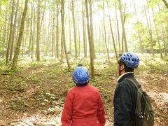 AOKIGAHARA TOUR11