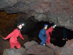AOKIGAHARA TOUR8