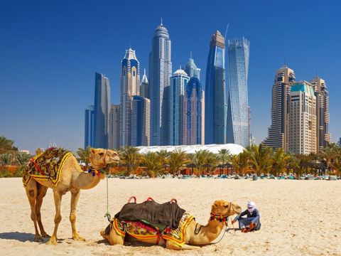 Image result for dubai