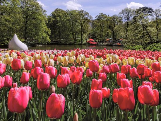 amsterdam to keukenhof hop