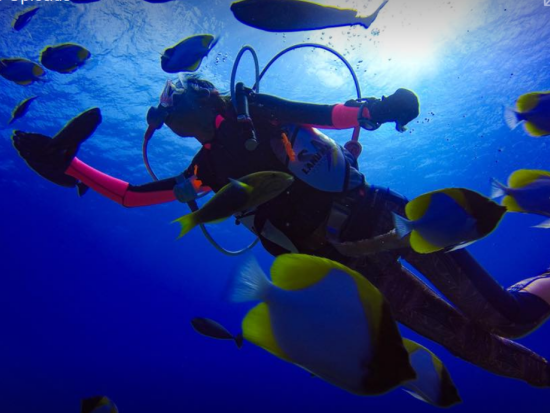 体験ダイビング ミクロネシア最大の大手ショップ！＜ビーチ／1～2ダイブ＞by アクアコネクションズ