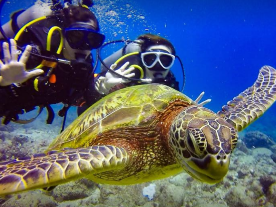 体験ダイビング ミクロネシア最大の大手ショップ！＜ビーチ／1～2ダイブ＞by アクアコネクションズ