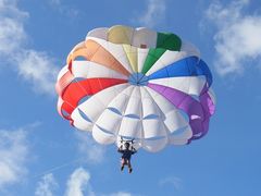 20140722235337_1356142416_2020_0