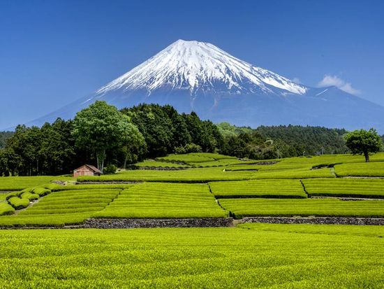 Mt Fuji Tours From Kyoto Mt Fuji Tours From Kyoto