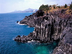 Jusangjeolli Cliffs in Jeju