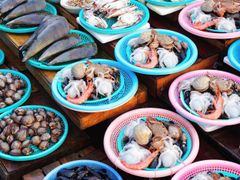 Jagalchi Seafood Market